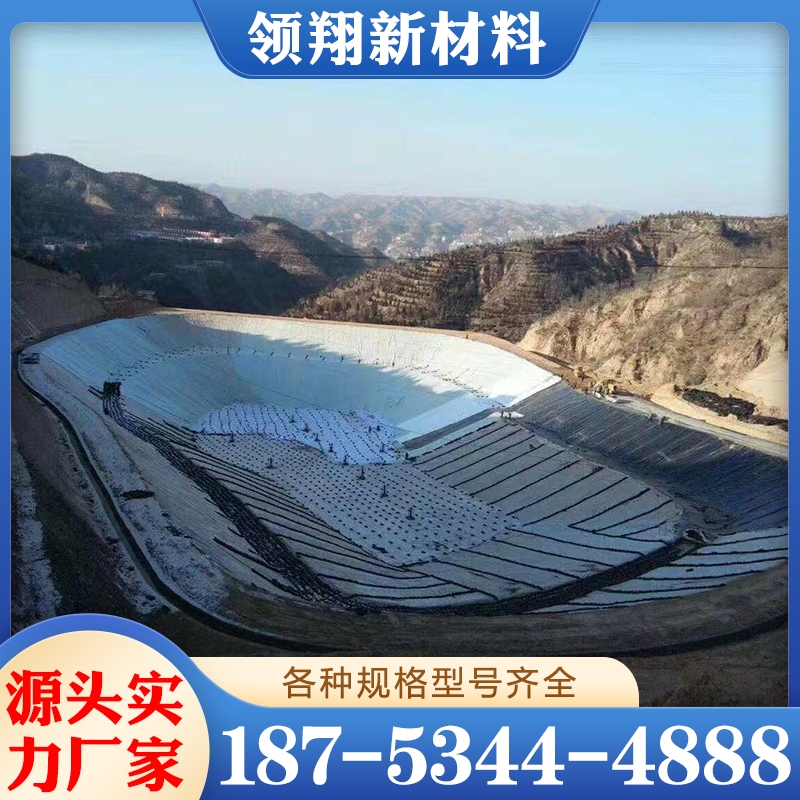 垃圾填埋场 防渗土工膜 现货供应货源充足