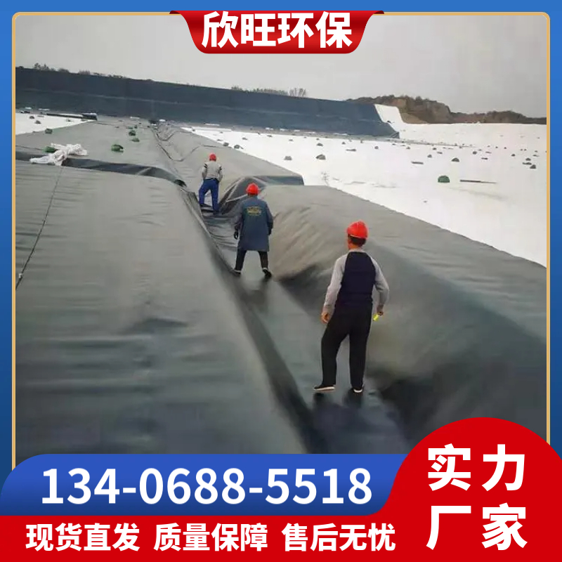 土工膜厂家批发 欣旺 发货快 抗穿刺强度高