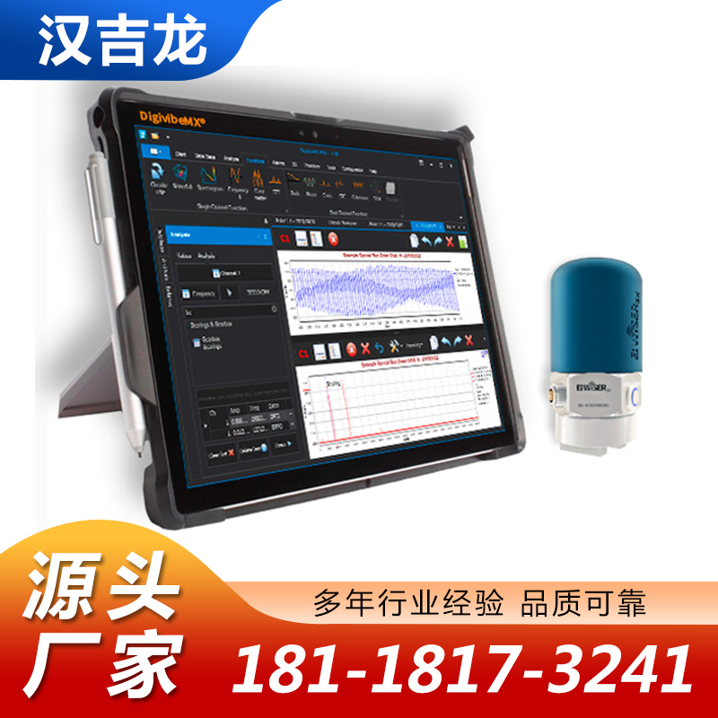 振动分析仪厂家质量保证,价格优惠,欢迎来电咨询