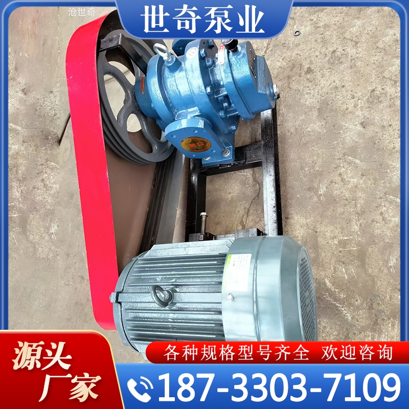 罗茨泵 高粘度泵 严格执行生产标准