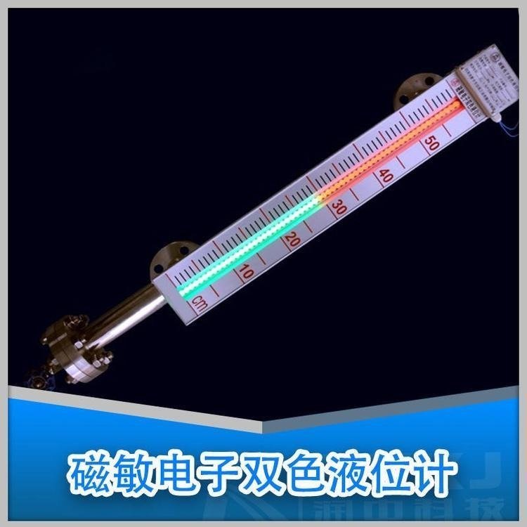 HTCS-6不锈钢带夜光显示远传磁敏电子双色液位计