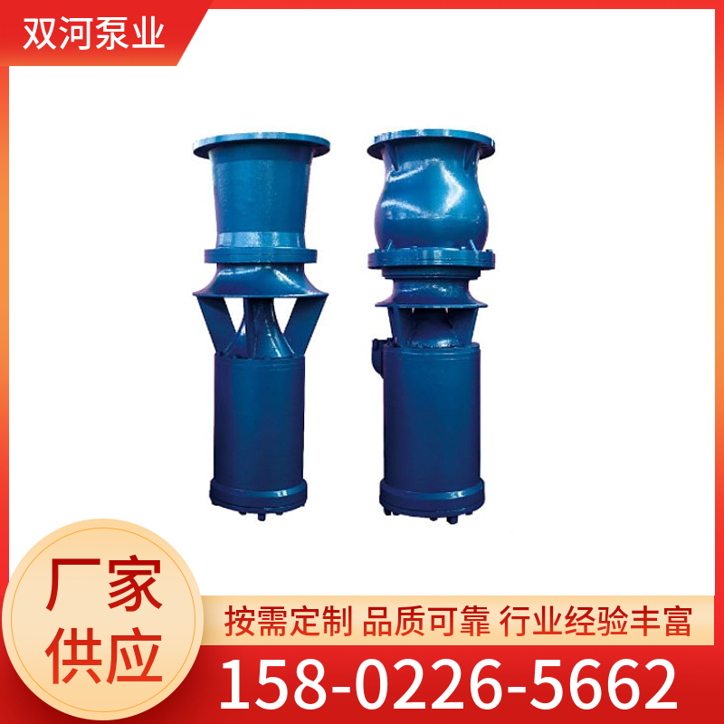 轴流泵 浮筒式潜水泵 中吸式轴流水泵 污水处理厂用泵