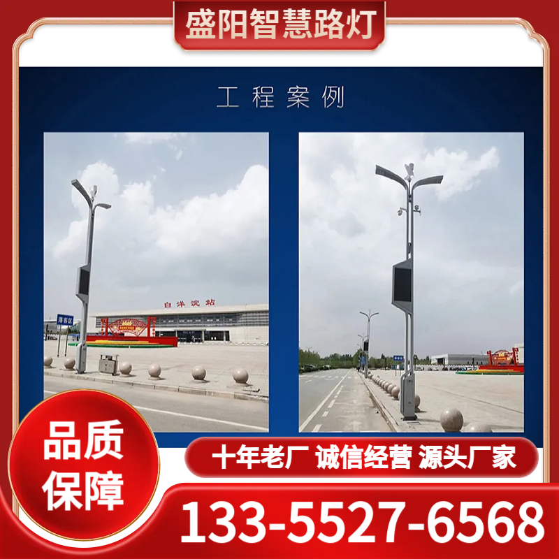 智慧路灯厂家 诚信经营 十年老厂