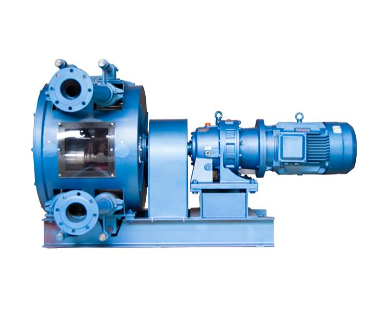 大流量双管软管泵 挤压泵 经久耐用 专业保障 厂家供应