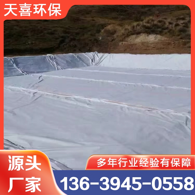 土工膜 诚信商家选择 品质无忧