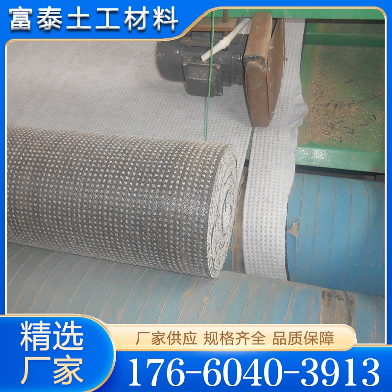 钠基膨润土防水毯  欢迎询价 量大优惠