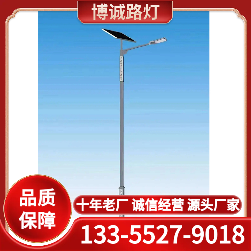 6米太阳能路灯厂家 十年老厂 诚信经营