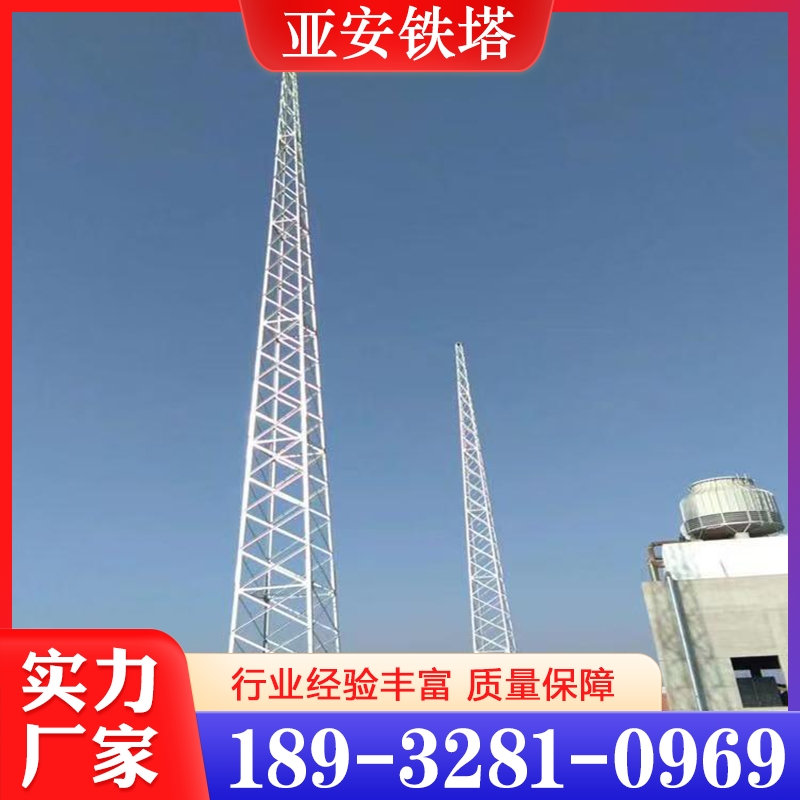 避雷塔 价格实惠 质量保障