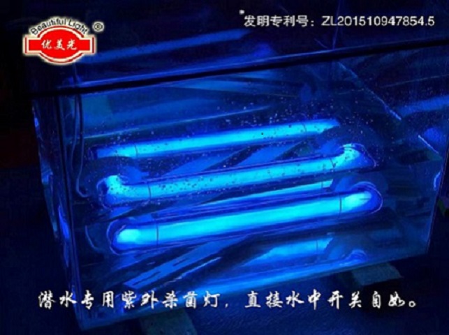 UVC杀菌灯