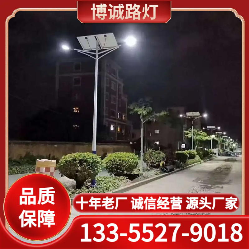 路灯厂家 十年老厂 品质保障