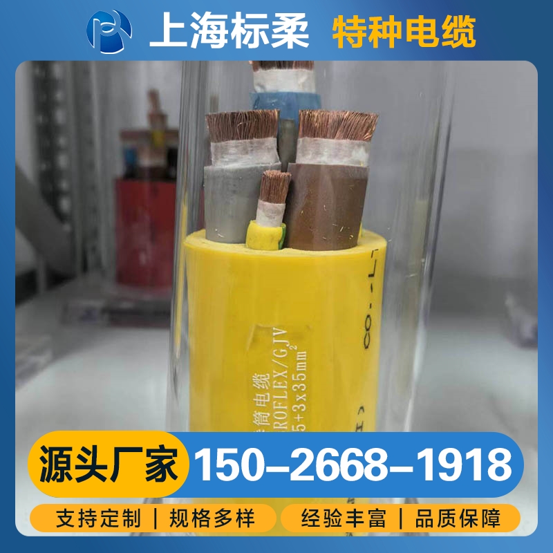 龙门吊卷筒电缆 厂家供应 欢迎咨询