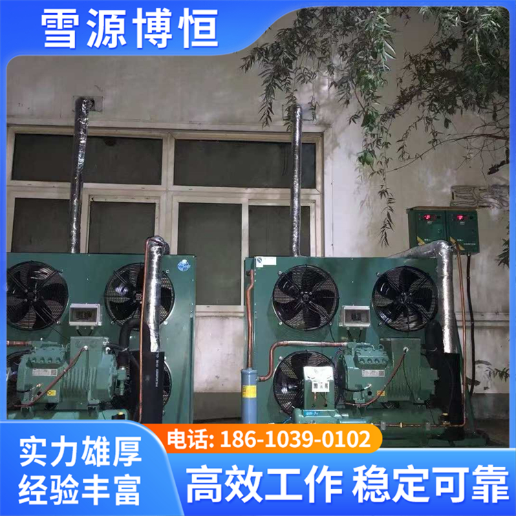 制冷设备 制冷强劲 性能稳定 支持定制 适用于多种场景
