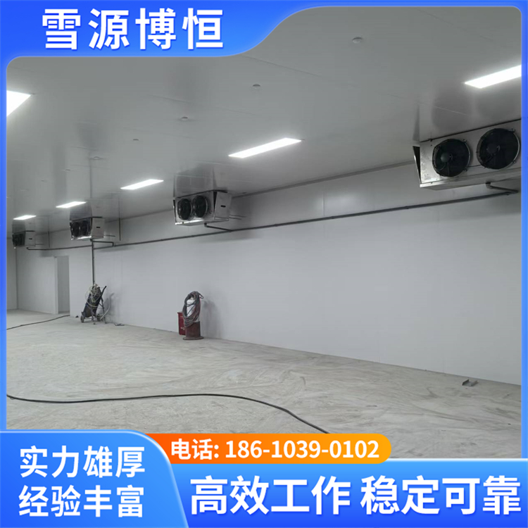 承接果蔬农产品保鲜冷库工程 物流冷冻仓储库建造 支持定制
