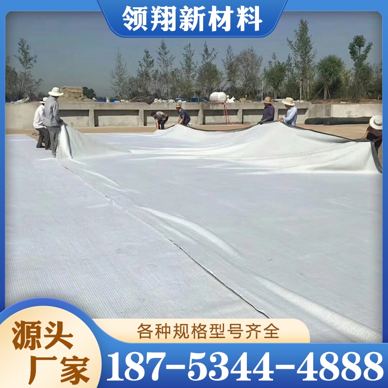 防渗土工膜 现货供应货源充足