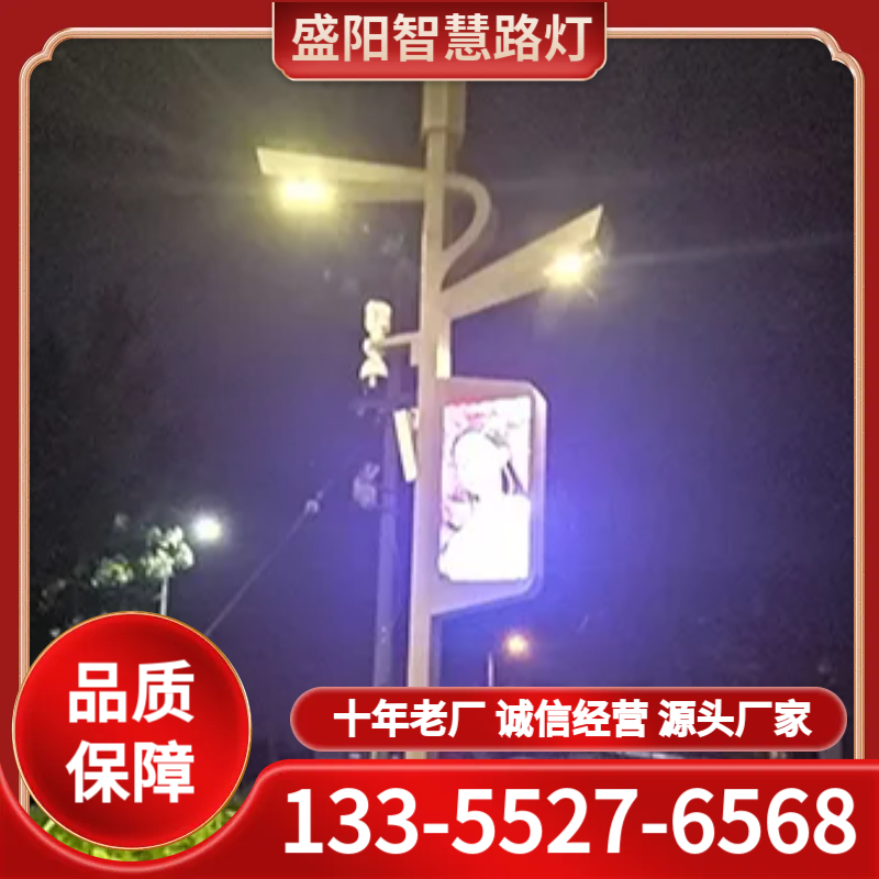 智慧路灯生产厂家 品质保障 诚信经营