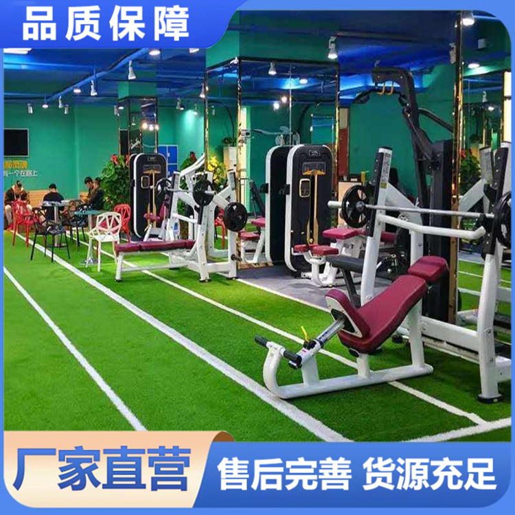 户外健身步道草坪 环保材料 四季常绿 防滑耐磨 量大从优