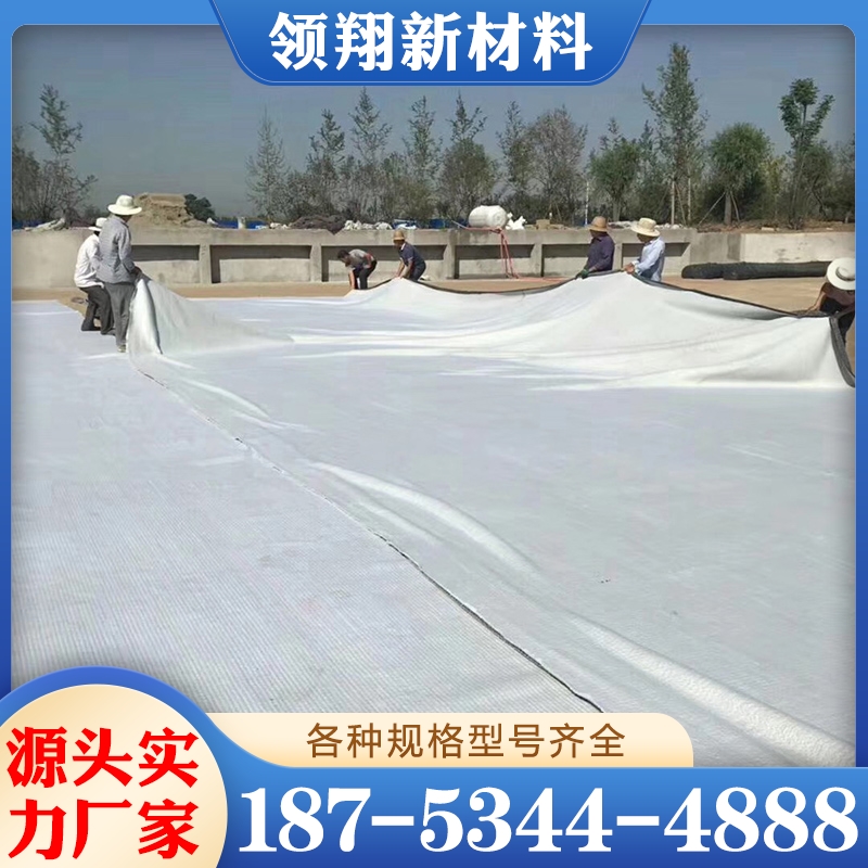 hdpe土工膜 行业经验丰富 质量保障
