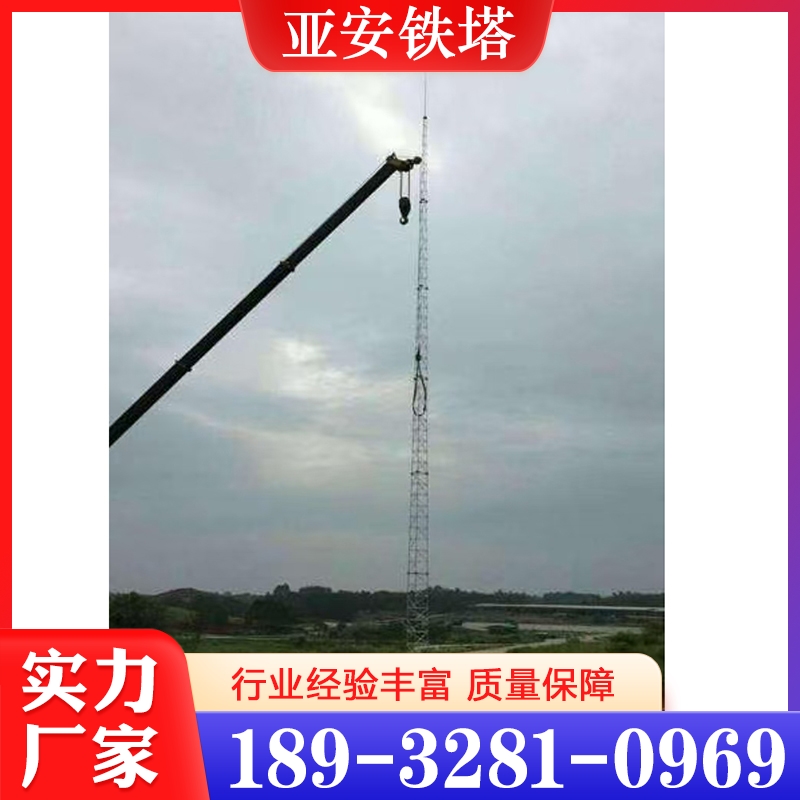 欢迎询价 避雷塔  量大优惠