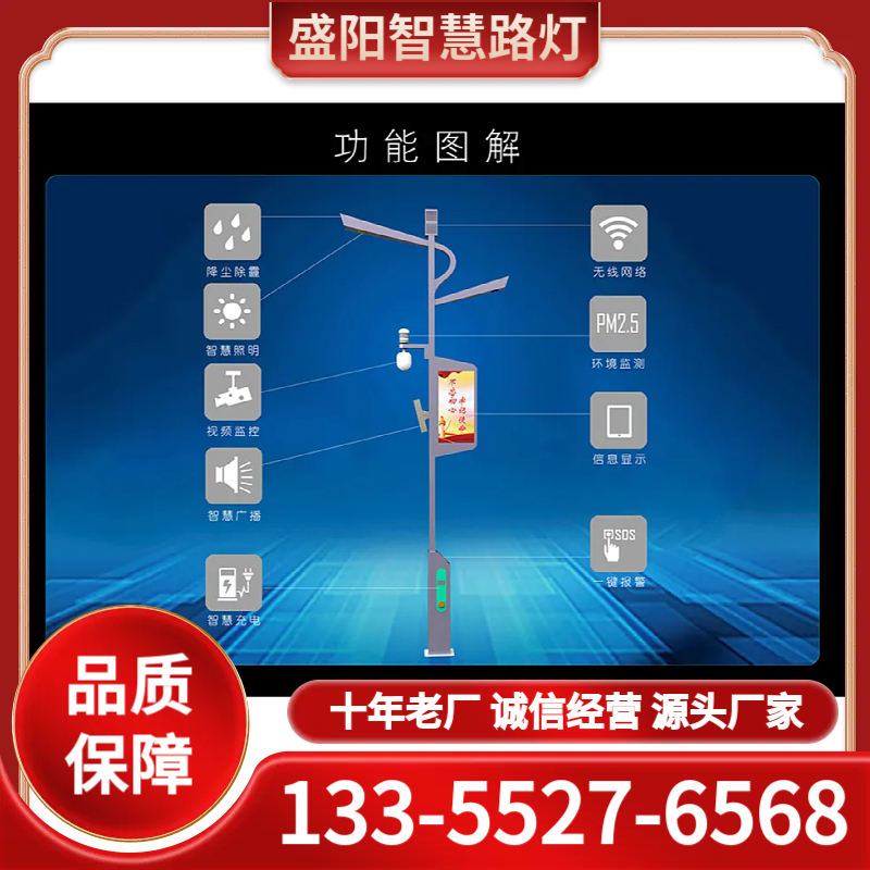 智慧路灯生产厂家 十年老厂 品质保障