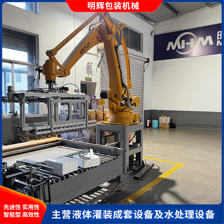 装箱码垛机器人-型号齐全