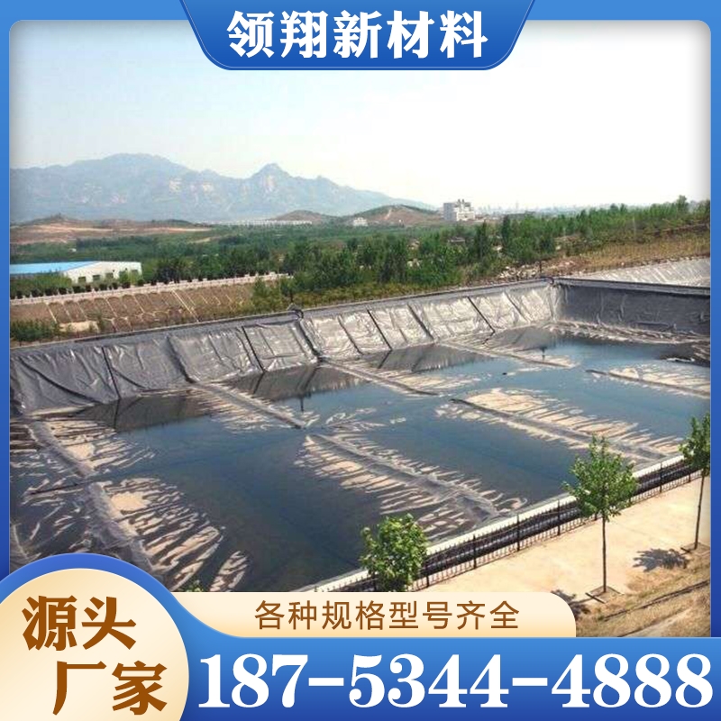 防渗土工膜 保质保量放心选择