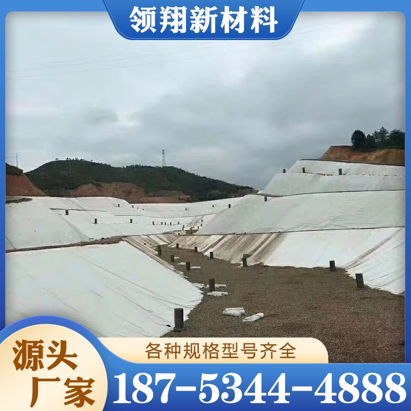 hdpe土工膜 实力认证 品质保证