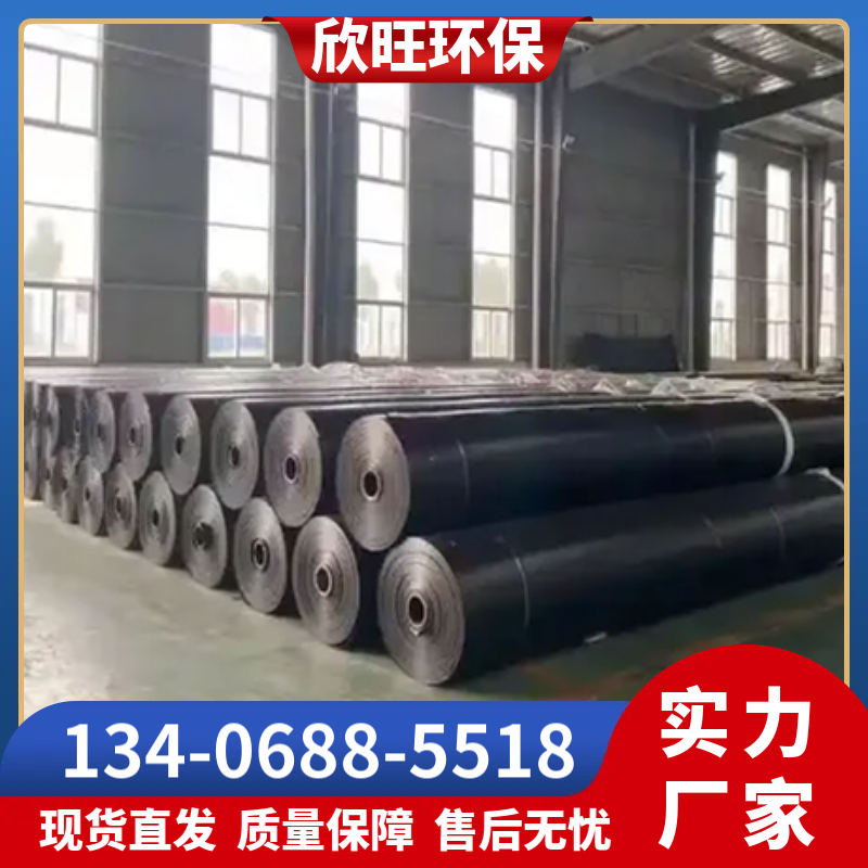 防渗膜厂家加工现货 欣旺 维护方便 支持定制