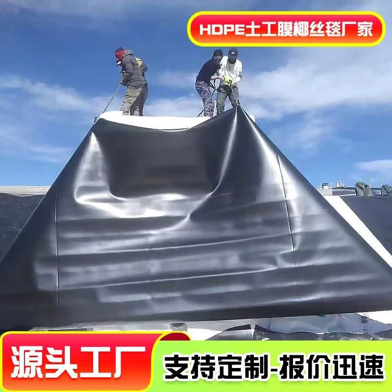 景观湖人工湖防渗材料HDPE土工膜生产厂家一手货源支持开发票