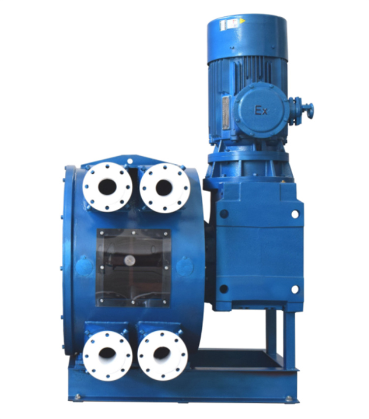 立式双管软管泵 厂家直销 乡源泵业 现货批发销售