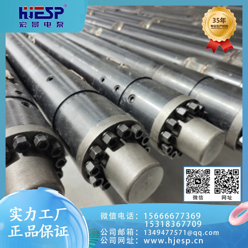 价格实惠 永磁潜水泵 质量保障