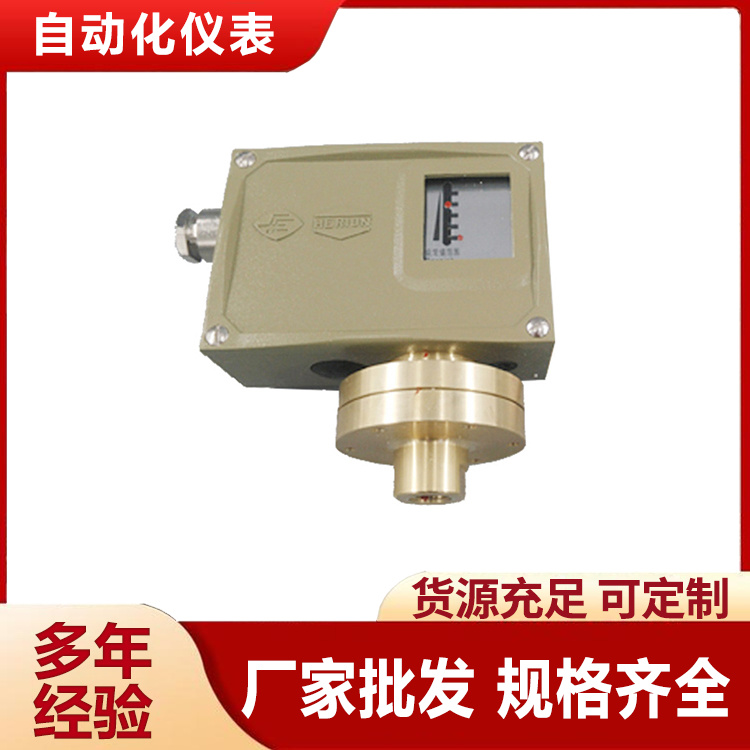 上自仪远东仪表厂D505/18D活塞式压力控制器压力开关0882100