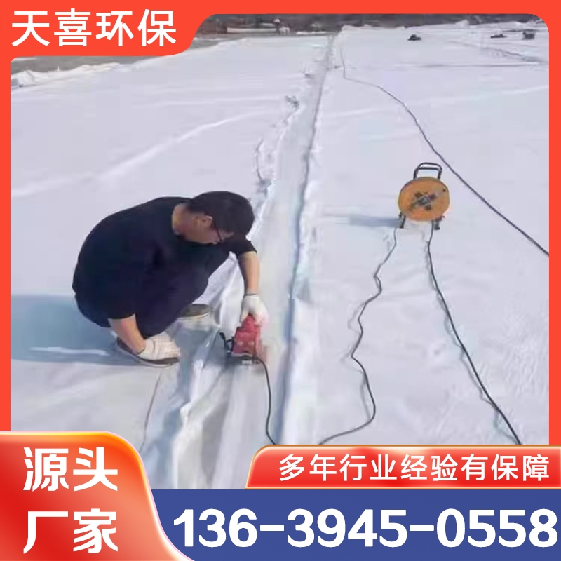 土工膜 现货供应货源充足