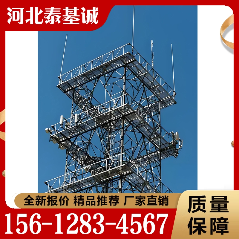 避雷塔  质量保障 价格公道