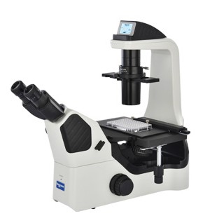 NIB600培养用倒置生物显微镜