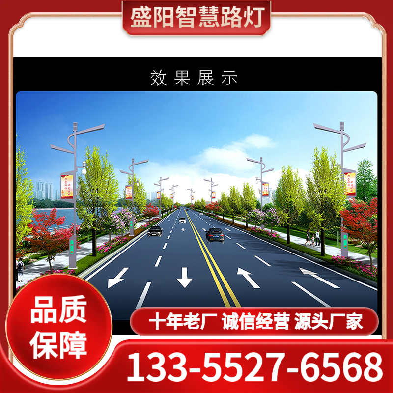 智慧路灯生产厂家 十年老厂 品质保障