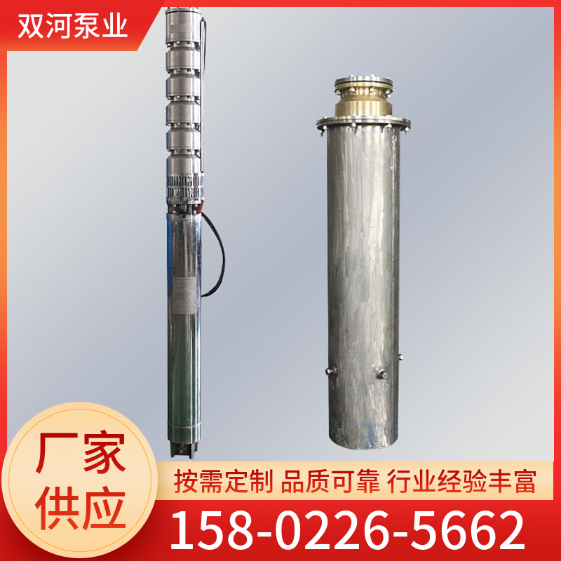 双河泵业 304不锈钢 深井泵 大流量 高扬程 支持调频