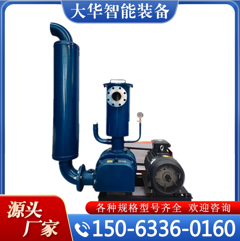 罗茨真空泵生产厂家 大华智能