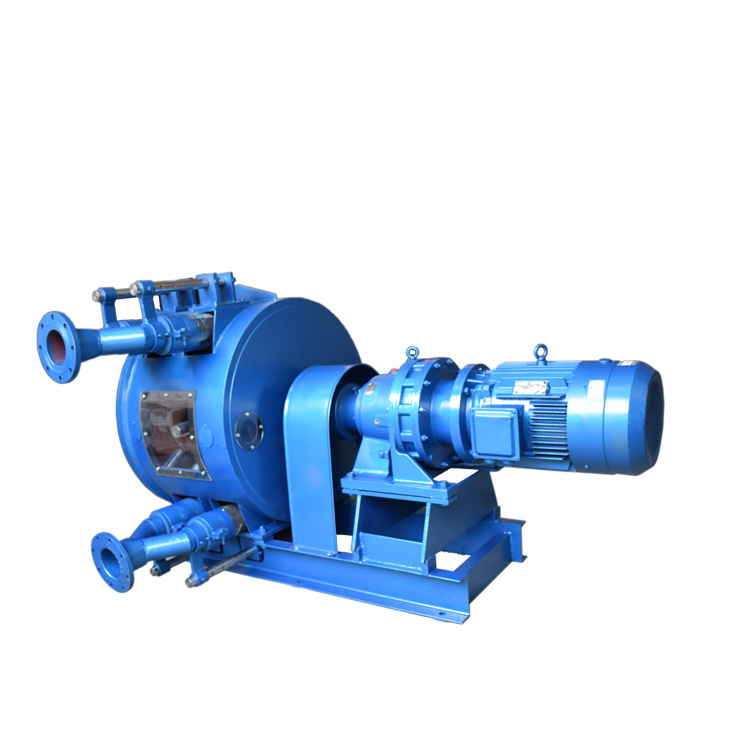 大流量双管软管泵 挤压泵 乡源泵业 专业生产 规格齐全 品质保障