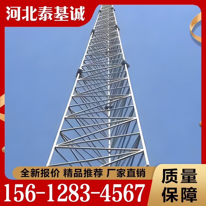性价比高 避雷塔  货源充足