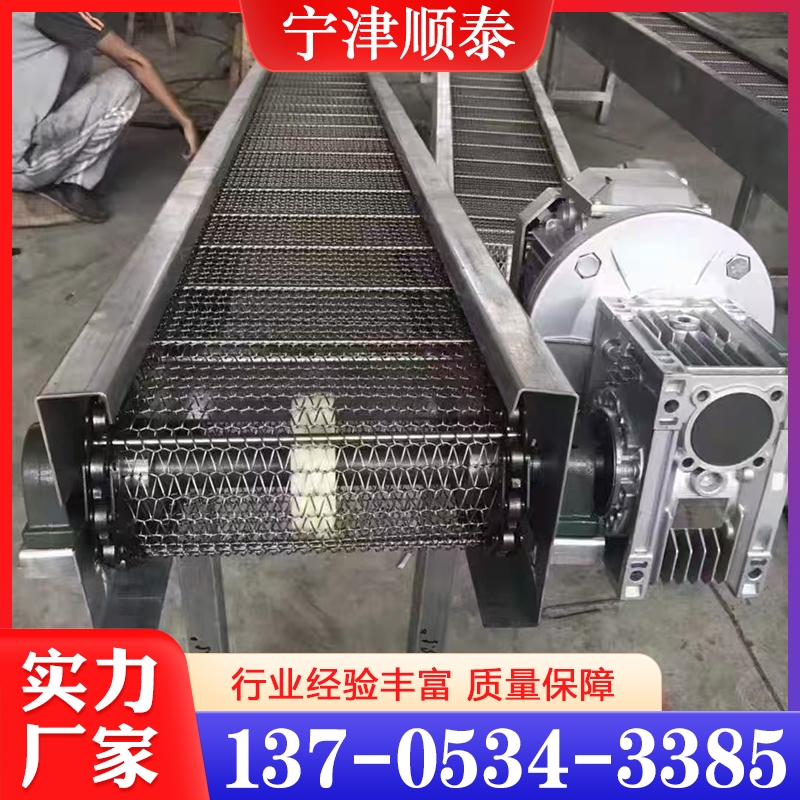 欢迎询价 网链输送机  量大优惠