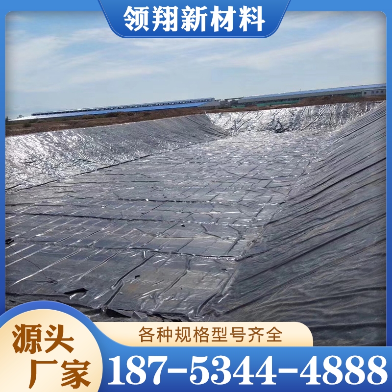 防渗土工膜 厂家供应 欢迎咨询