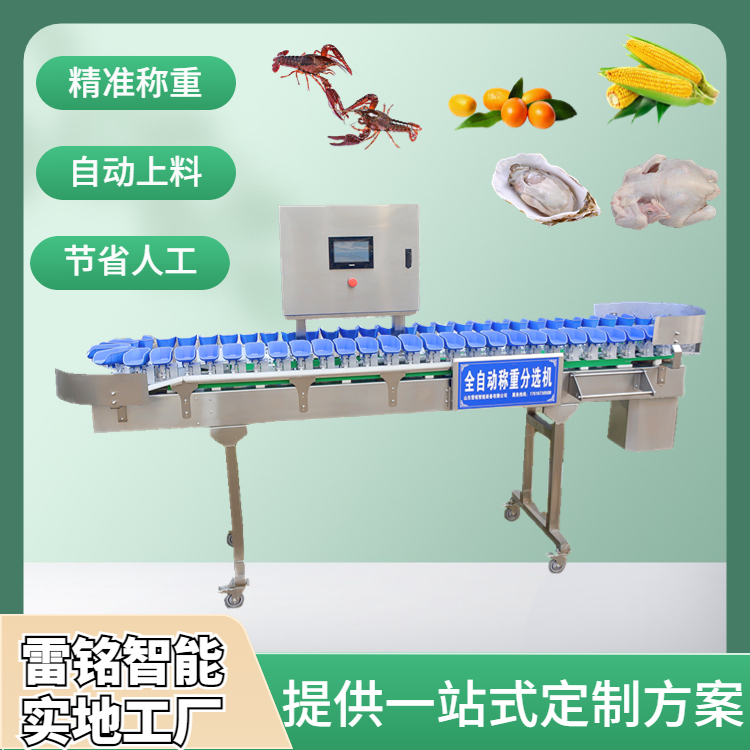 重量分选机 水果称重分级机 厂家直供