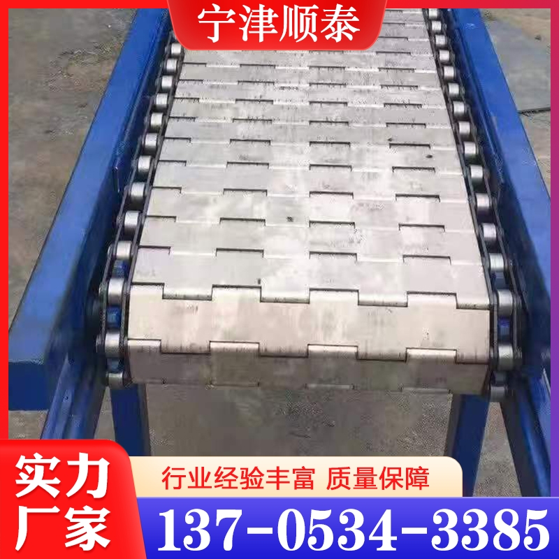 网链输送机  欢迎咨询订购 值得信赖