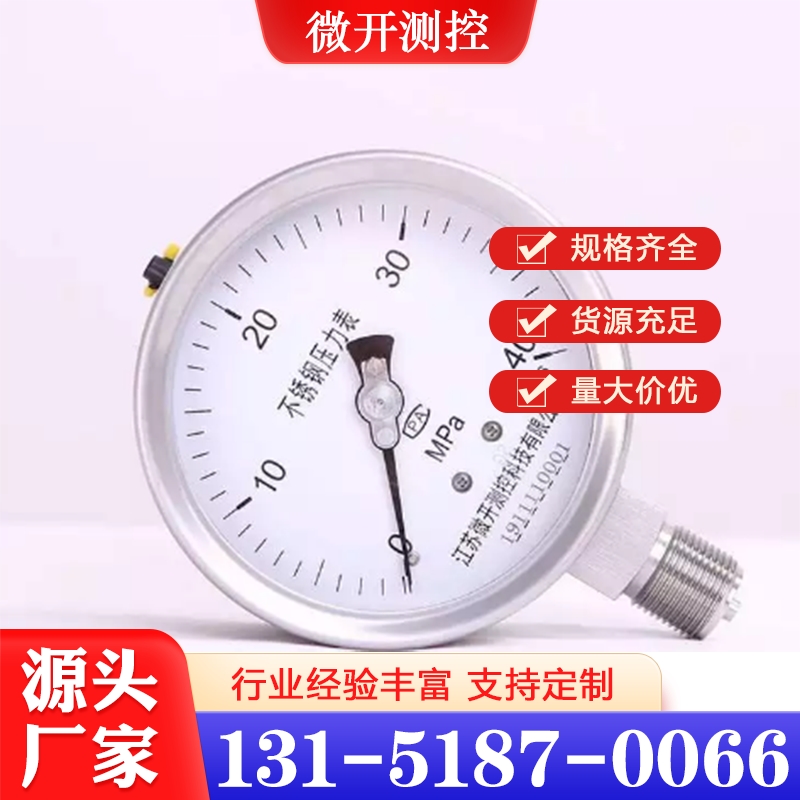 精密压力表 数字压力表 远传压力表 行业经验丰富