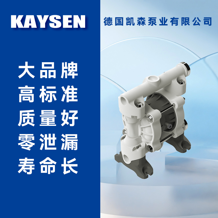 进口电动隔膜泵 KAYSEN 耐高温耐酸碱耐腐蚀化工泵