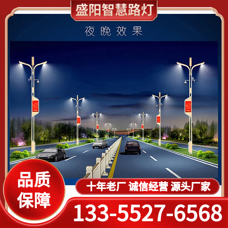 智慧路灯 品质保障 十年老厂