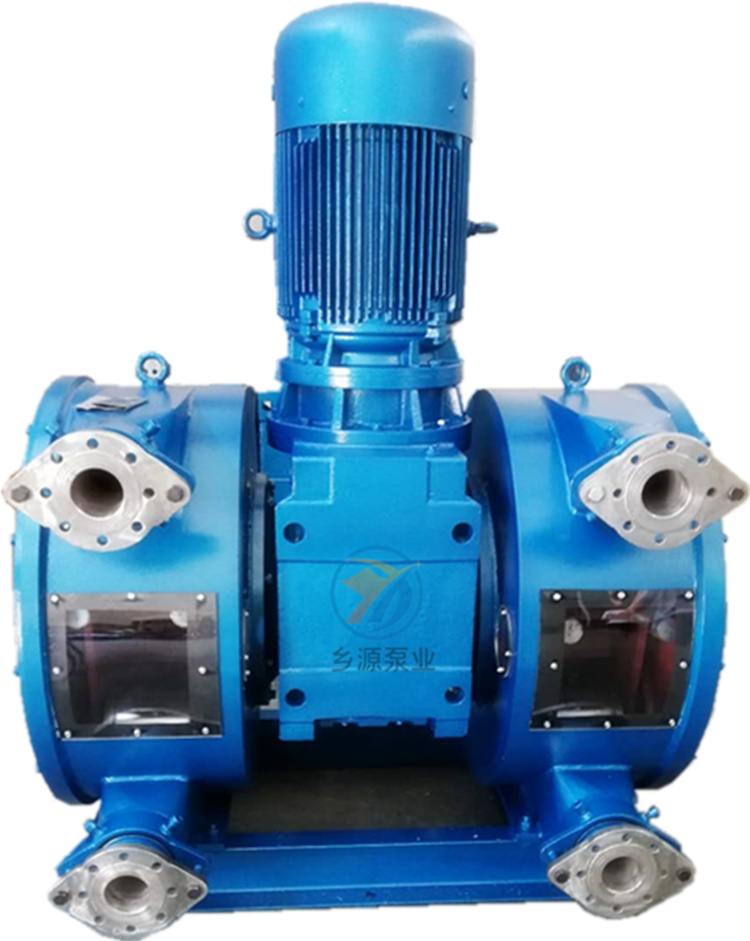 立式双管软管泵 乡源泵业供应 充足货源 厂家批发