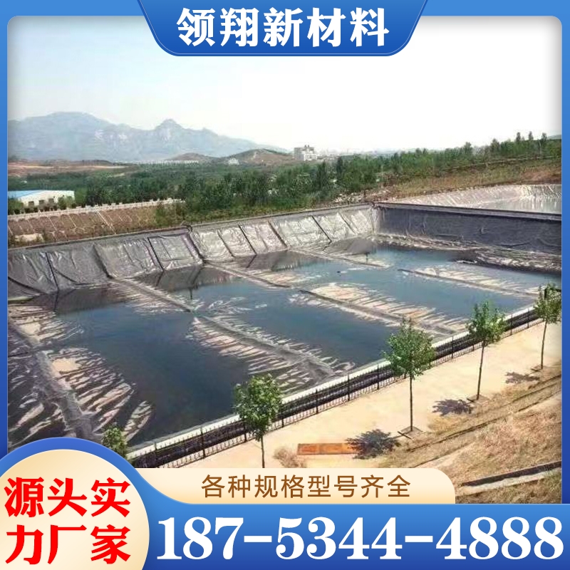 景观池人工湖 防渗土工膜 严格执行生产标准
