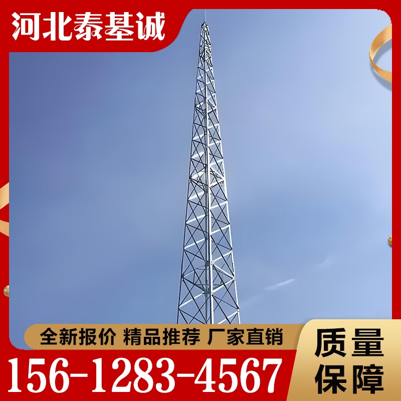 避雷塔  经验丰富 大量库存