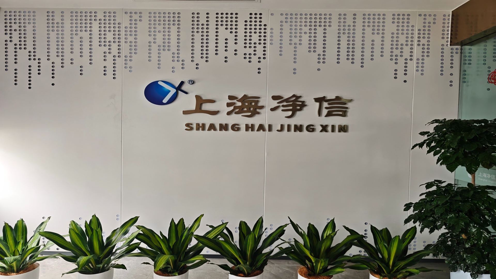 上海净信实业发展有限公司